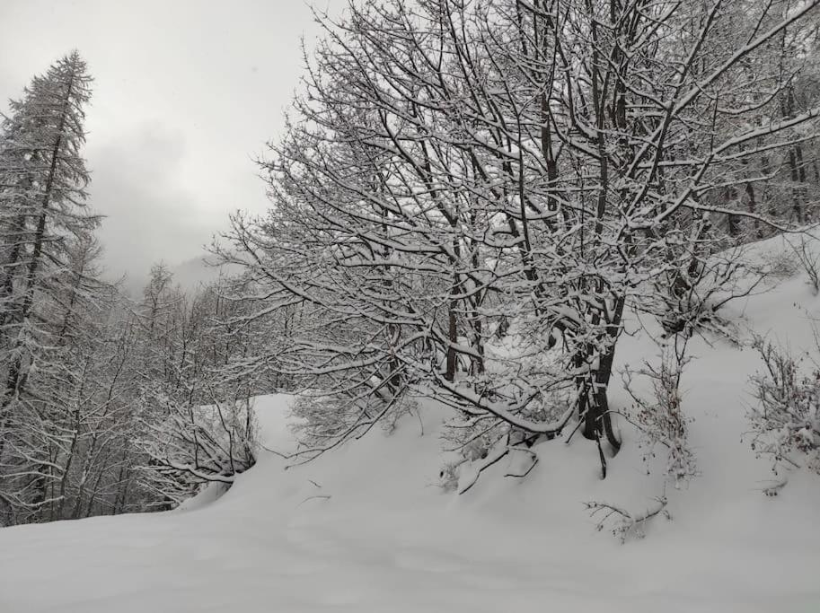 Appartement Vue Montagne, Cosy Et Chaleureux Μπριανσόν Εξωτερικό φωτογραφία